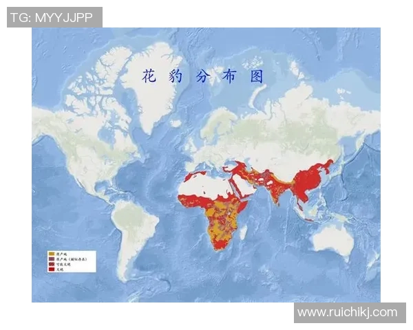朝鲜与黎巴嫩历史交战回顾及战绩分析探讨